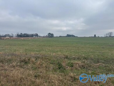 TRACT 6 Alabama 99, Elkmont, AL 35620 - photo 6