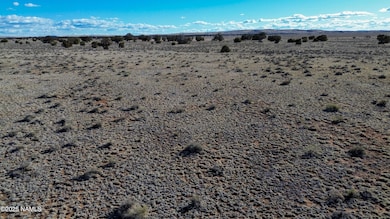 00 Tbd (50002017f), Williams, AZ 86046 - photo 7