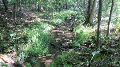 1135 N Mink Rd, Danielsville, PA 18038 - photo 5