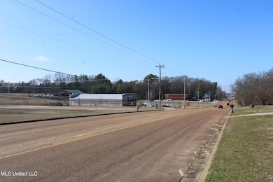 8568 Goodman Rd, Olive Branch, MS 38654 - photo 3