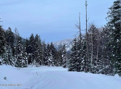 NNA Sled Run Trail, Clark Fork, ID 83811 - photo 3
