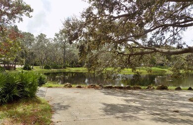 Beautiful Pond