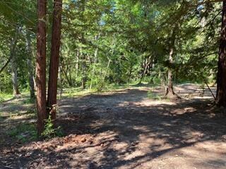 17000 Bear Creek Rd, Boulder Creek, CA 95006 - photo 7