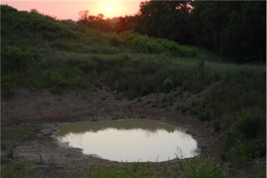 0 Hilltop Rd, Shelbyville, TN 37160 - photo 4