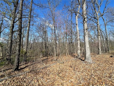 Lot 11 Stretford Dr, Bella Vista, AR 72714 - photo 6