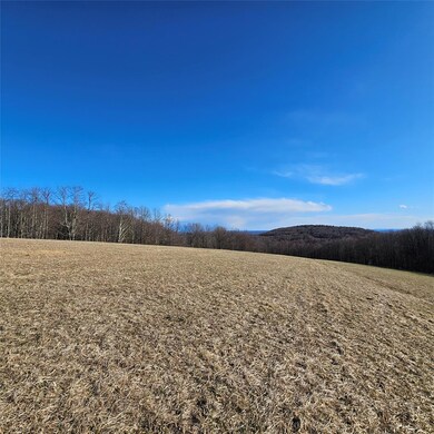 0 Stump Pond Rd, Callicoon, NY 12724 - photo 5