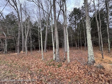 Tbd Park, Lexington, NY 12452 - photo 4