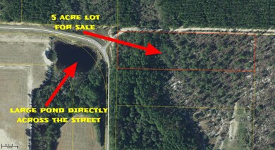 Walton County Parcel Maps