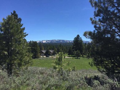 Mountain Views