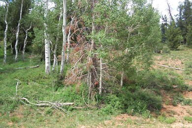 Ski View Estates lot 31 blk B 003
