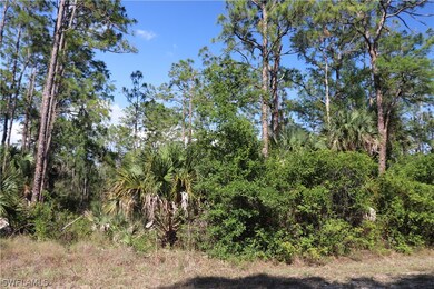 306 Lakeridge Blvd, Lehigh Acres, FL 33972 - photo 5