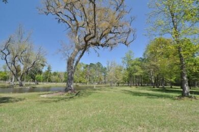 Pond