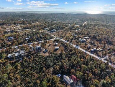 2660 Black Oak Rd, Keaton Beach, FL 32348 - photo 6