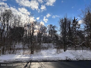 60 Cheltingham Ave, Schenectady, NY 12306 - photo 4