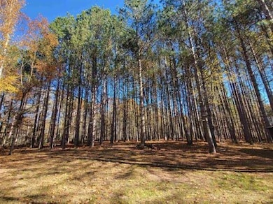 3385 Jones Rd, Beaverton, MI 48612 - photo 2