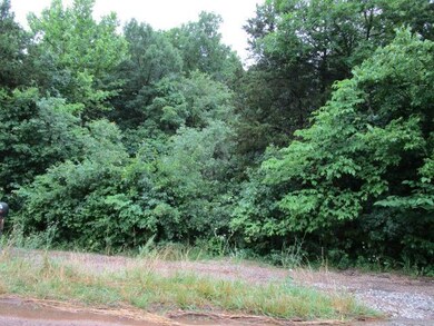 2865 Center Rd, Ozark, MO 65721 - photo 3