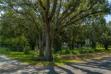 1906 Hobbs Rd, Tampa, FL 33619 - photo 3