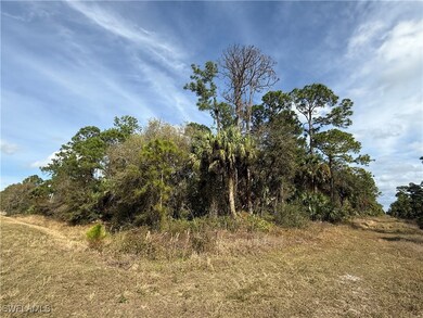 View of nature