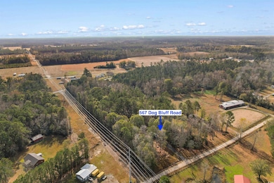 567 Dog Bluff Rd, Galivants Ferry, SC 29544 - photo 2