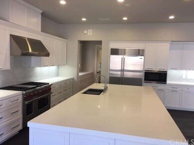 Designer kitchen with Wolf and sub zero appliances
