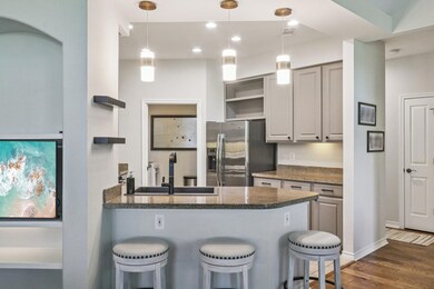 300 San Gabriel Village Blvd unit 423, Georgetown, TX 78626 - photo 6