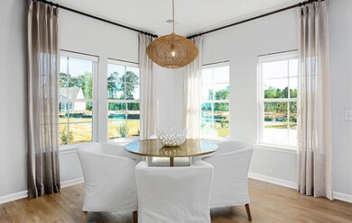 196 Camellia Bloom Dr, Moncks Corner, SC 29461 - photo 5