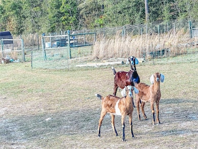 323 SW Blast Ct, Fort White, FL 32038 - photo 5