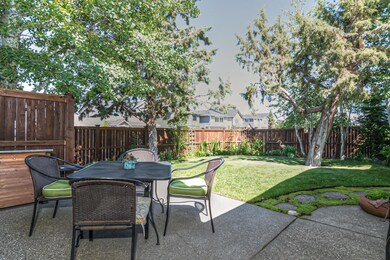 4_backyard