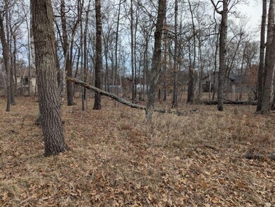 Lot 21 B0 Birch Ln, Breezy Point, MN 56472 - photo 7