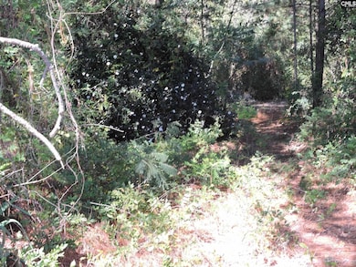 1250 S Lake Dr, Lexington, SC 29073 - photo 7