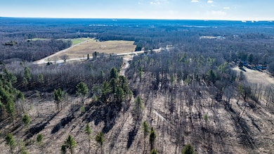 DJI_20241231022133_0273_D