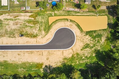 2910 S/L 17 Willow Way, Norton, OH 44203 - photo 5