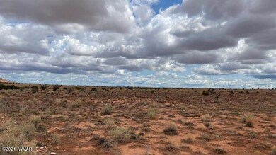 IMG_9850 (1)