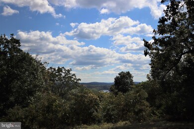 0 Hawks Nest II unit WVMO116280, Berkeley Springs, WV 25411 - photo 5