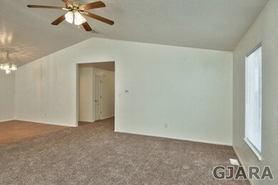 Large Living Room