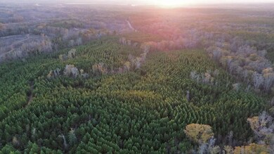 104 Gammage Rd, Pittsview, AL 36871 - photo 7