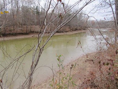 0 Whiteoak Rd E, Clifton, TN 38425 - photo 4