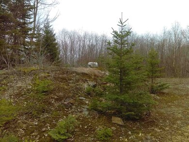Lot 67 Hampshire Woods Loop, Errol, NH 03579 - photo 2