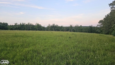 014 Tomahawk Slab Rd, Saint Joe, AR 72675 - photo 4