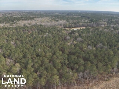0 Ms Hwy 12 W, Starkville, MS 39759 - photo 3