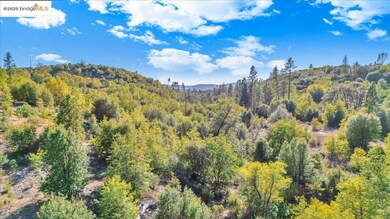 00 Jackass Creek Rd, Groveland, CA 95321 - photo 7