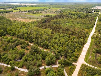 17560 Richard Rd, Fort Myers, FL 33913 - photo 3