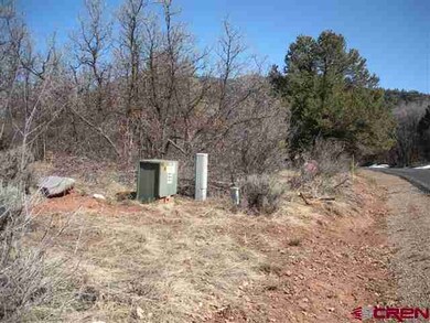 0 Elkridge Ln unit 654954, Durango, CO 81301 - photo 6