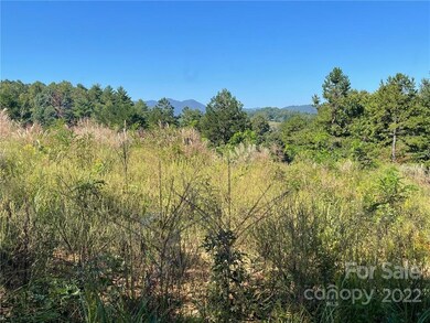 999999 Alexander Rd, Leicester, NC 28748 - photo 5