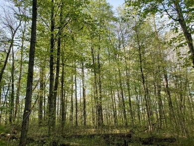 Lot 13 Hjermstad Dr, Ionia, MI 48846 - photo 7