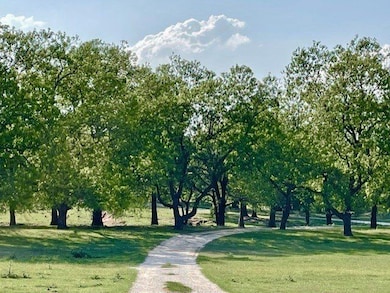 646 Victor Eckhardt Rd, Fredericksburg, TX 78624 - photo 6