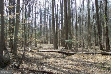 0 Chapmans Landing Rd unit 1000076425, Indian Head, MD 20640 - photo 6