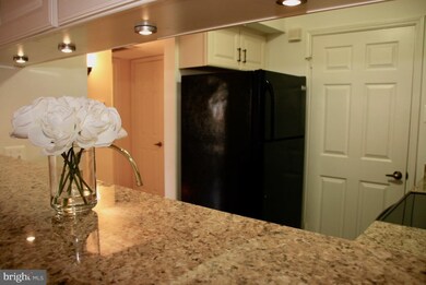 1504 Lincoln Way unit 427, McLean, VA 22102 - photo 6
