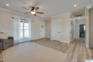 9 ft ceilings, smooth ceilings, lvp flooring