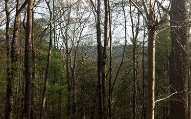 Additional View